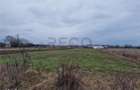 RECO Teren intravilan in Bors cu front mare - 3