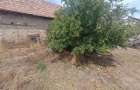Teren 879 mp, front 15, zona RrEt-ideal pentru constructie-Someseni