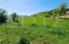 Teren intravilan de vanzare, 5000 mp, zona Viisoara, langa Metaller - 1