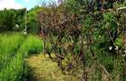 Casa plus teren de vanzare Valea Prahovei Provita de Jos - 6