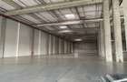 Hale de inchiriat 2000 mp centru logistic  Chitila-Buftea - 6