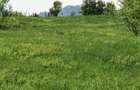 Teren de vanzare Com Berislavesti, Valcea - 7