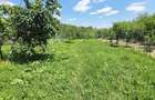 Casa cu teren de 536 mp in Ceptura de Jos - 16