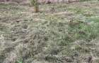 PF Vand teren Sat Pata comuna Apahida 833mp + 150mp drum acces