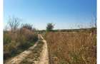 Teren extravilan 6.500 mp Raducesti, Topliceni | 4 km de Ramnicu Sarat
