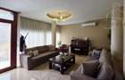 Casa exceptionala - Braytim - Timisoara - 1