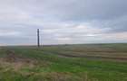 -teren extravilan, com. Satchinez, jud. Timis - 3