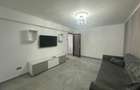 VIGAFON - Apartament 2 camere Cantacuzino - 3