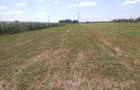 Vand teren intravilan 2350 mp Frate?ti, ideal investi?ie casa, utilita?i, 400m de DN5