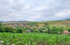 Casa in Camarasu-Cluj, utilitati, asfalt, teren mare intravilan - 5