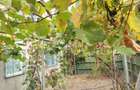 Casă de vânzare, 65 mp, 500mp teren - Malu Mare