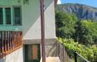 Casa si padure de vanzare in satul Mada comuna Balsa - 10