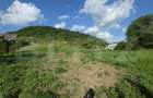 Teren intravilan 50 arii pe str. Valea Ghinzii - Bistrita (Bistrita-Nasaud)