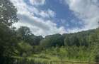 Telega - casa - teren 13000 mp/8000mp padure - 170000 Euro
