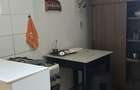 IANCULUI UNATC ,in vila,mobilata,utilata,loc de parcare,curte,Pet friendly - 4