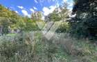 Teren de vanzare - Fantanele - Intravilan - 1148 MP - 1