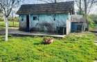 Casa + 2870 mp teren oportunitate Ciocaia - 11