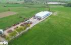 Hala Industriala,1800 mp la E60 la 5 km de Alesd,Bihor,Gaminvest,V4597 - 3