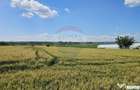 Teren 15,000mp Salcea-Prelipca, Suceava - Prelipca (Suceava)