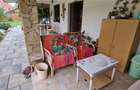 Proprietate de vanzare in Sard, 4 camere si drum asfaltat - 17