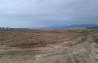 Teren 1450m- Carpinis/Tarlungeni, intravilan - 7