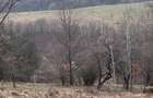 6000 MP intravilan, sat Bistrita, 9 Eur/MP - 1