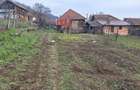 Casa de vanzare si multe articole artizanale - 6