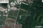 Cernica - 2300mp - autorizatie construire - 1