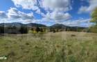 Teren 1,5 hectare - la Piatra Fantanele - 6