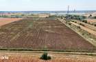 Teren 8.648 mp | Intravilan + extravilan | Deschidere 21 m | Mosteni - 6