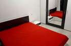 De inchiriat apartament 2 camere Otopeni - 6