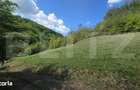 Teren extravilan, 9.083 mp, peisaj superb si liniste totala, zona Mete - 4