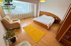 Apartament 2 camere, 60 mp, mobilat si utilat, Pacurari-langa bulevard - 4