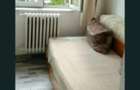 Pf inchiriez camera camin wc dus in Bulgaria 12mp - 4