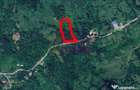 Teren intravilan de vanzare in Telega - 13