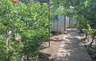 Casă individuală cu 3 camere cu Teren 585 Mp în Vălcani - 10