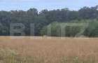 Padure de vanzare, 0,75 hectare, zona Suta Seaca