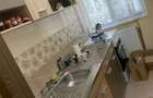 Apartament cu 1 camera de inchiriat zona Stadion Dan Paltinisanu - 8