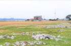 Ocazie ! Eforie Nord 3 Loturi 517 Mp. 19.500 Euro Ideal Investitie ! - 14
