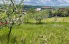 Investitie ! Teren intravilan,494 mp, front 14 m,cart Dâmbul Rotund-Lombului   ! - 6