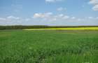 Vand teren Calarasi DN4 (6 hectare) suprafata totala ! - 4