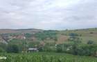 Vanzare teren intravilan cu casa veche in Camarasu, Cluj - 7