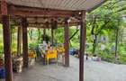 Casa cu 4 camere, mobilata, Mosteni, 35000 EUR - Mosteni (Teleorman) - 10