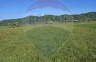 Teren intravilan de vânzare în Crăciunești – 1.780 mp - 7