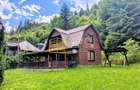 Cabană – Mureș – Sălard – Zona Pensiunea Denisa - 2