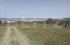 Teren intravilan, 15.904 mp, zona Dambu - 1