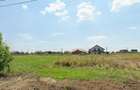 Teren de vanzare in Dudestii Noi, Timis | Direct Proprietar - 1