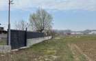 DGM Imobiliare:Teren intravilan de vanzare Balta Verde - Braniste - 1