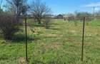 Dragomiresti- Vale, str Nucilor, teren intravilan 2.262mp. - 2