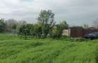 Teren intravilan Segarcea str Ariilor 20 euro mp - 4